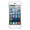 Apple iPhone 5 16Gb white - Кондопога