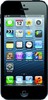Apple iPhone 5 16GB - Кондопога